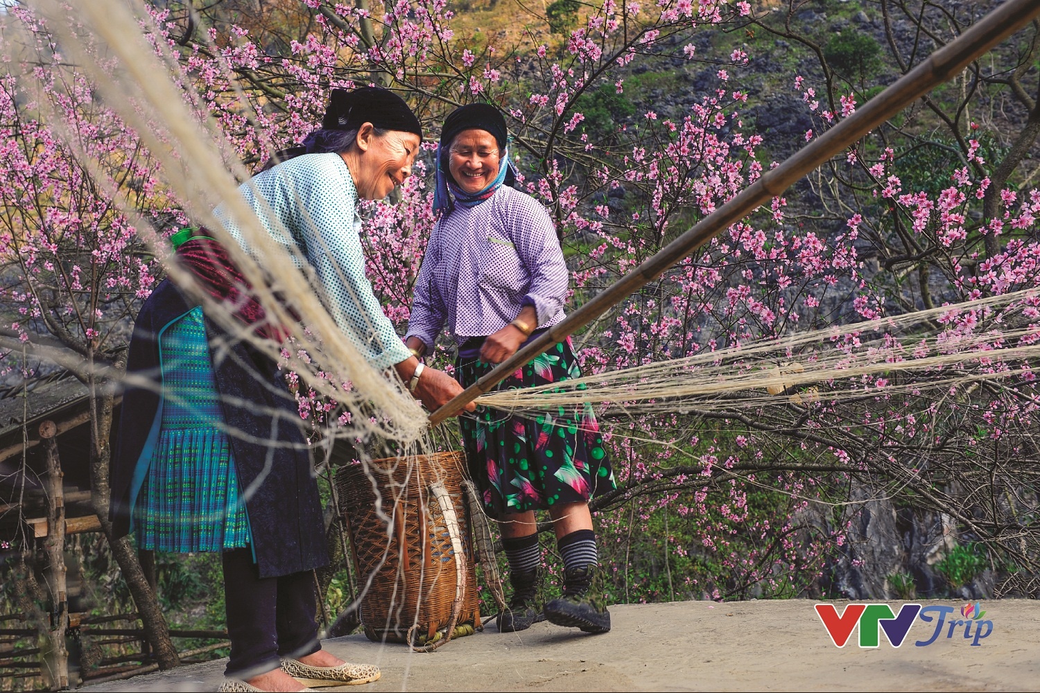 nu cuoi lap lanh anh 1