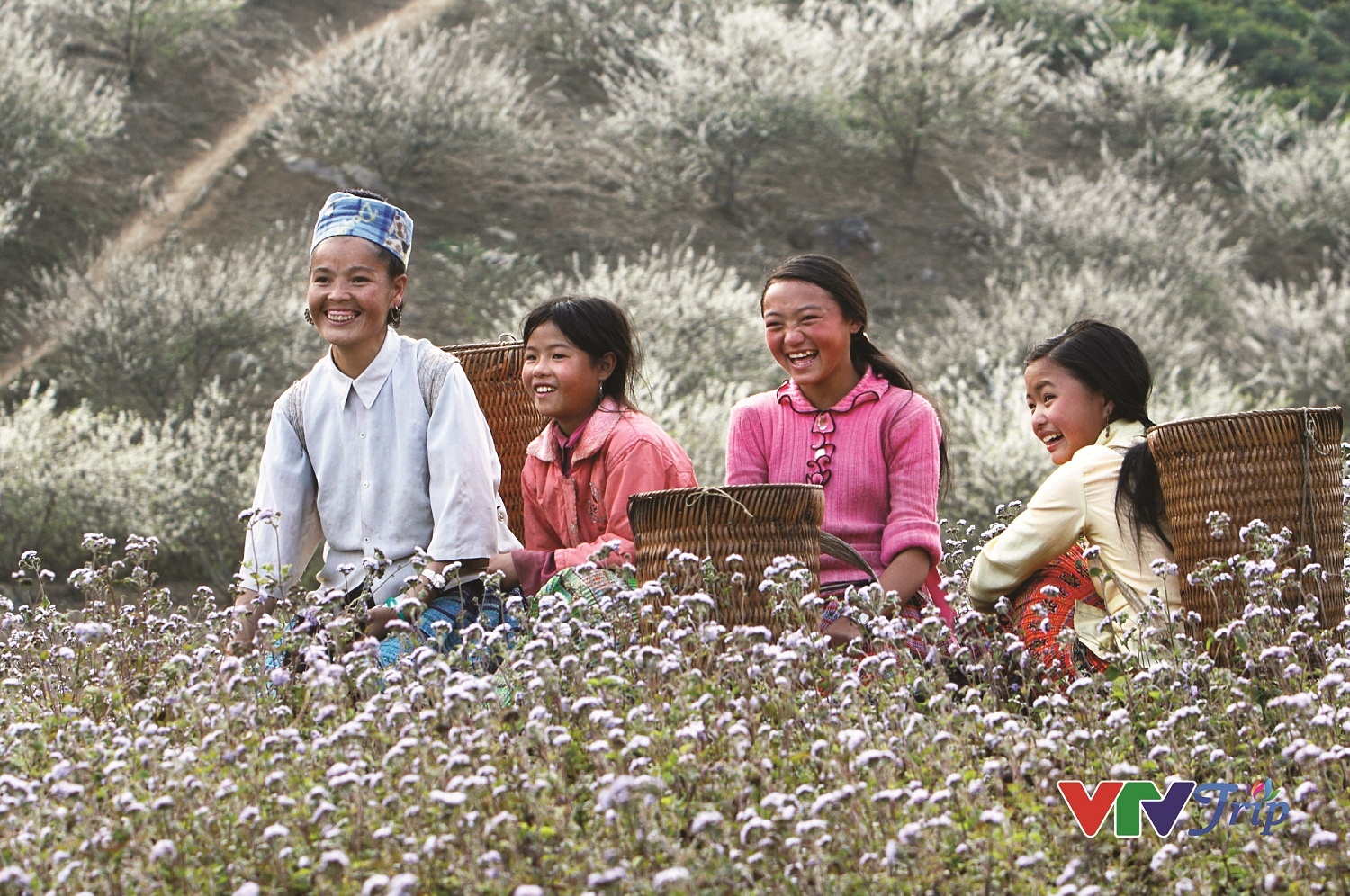 nu cuoi lap lanh anh 8