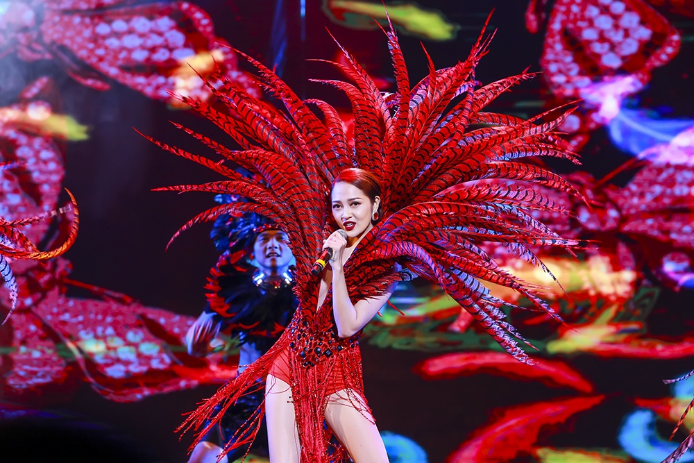 Diamond show cua Dam Vinh Hung anh 4