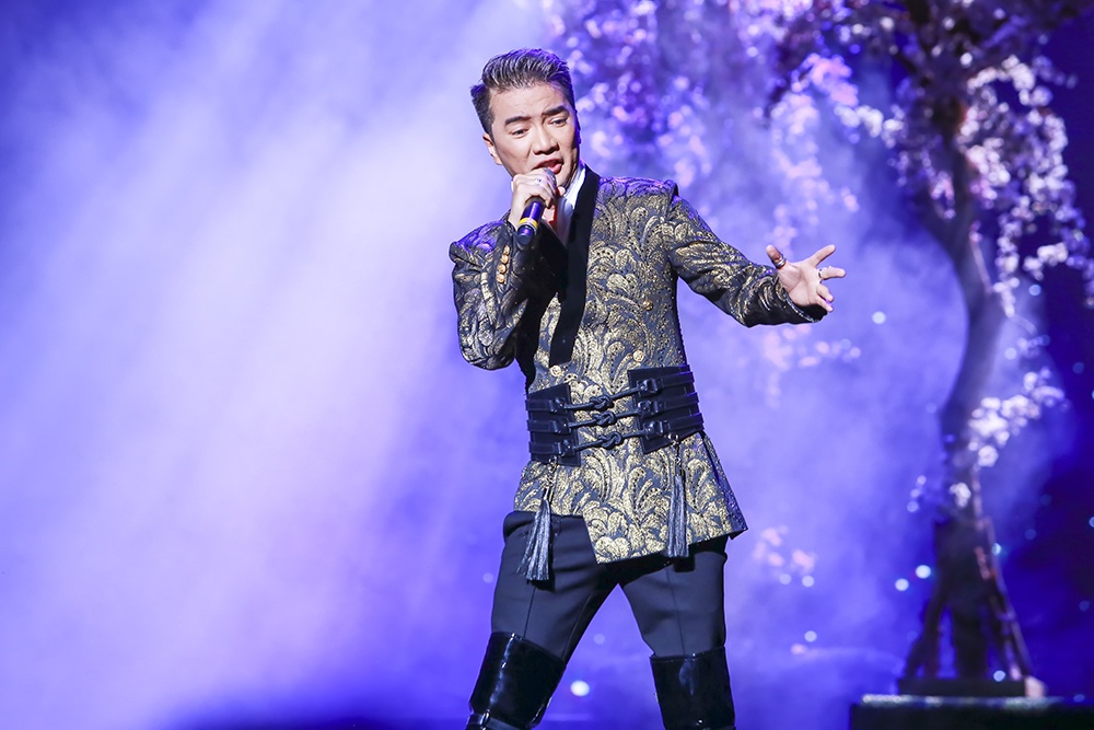 Diamond show cua Dam Vinh Hung anh 7