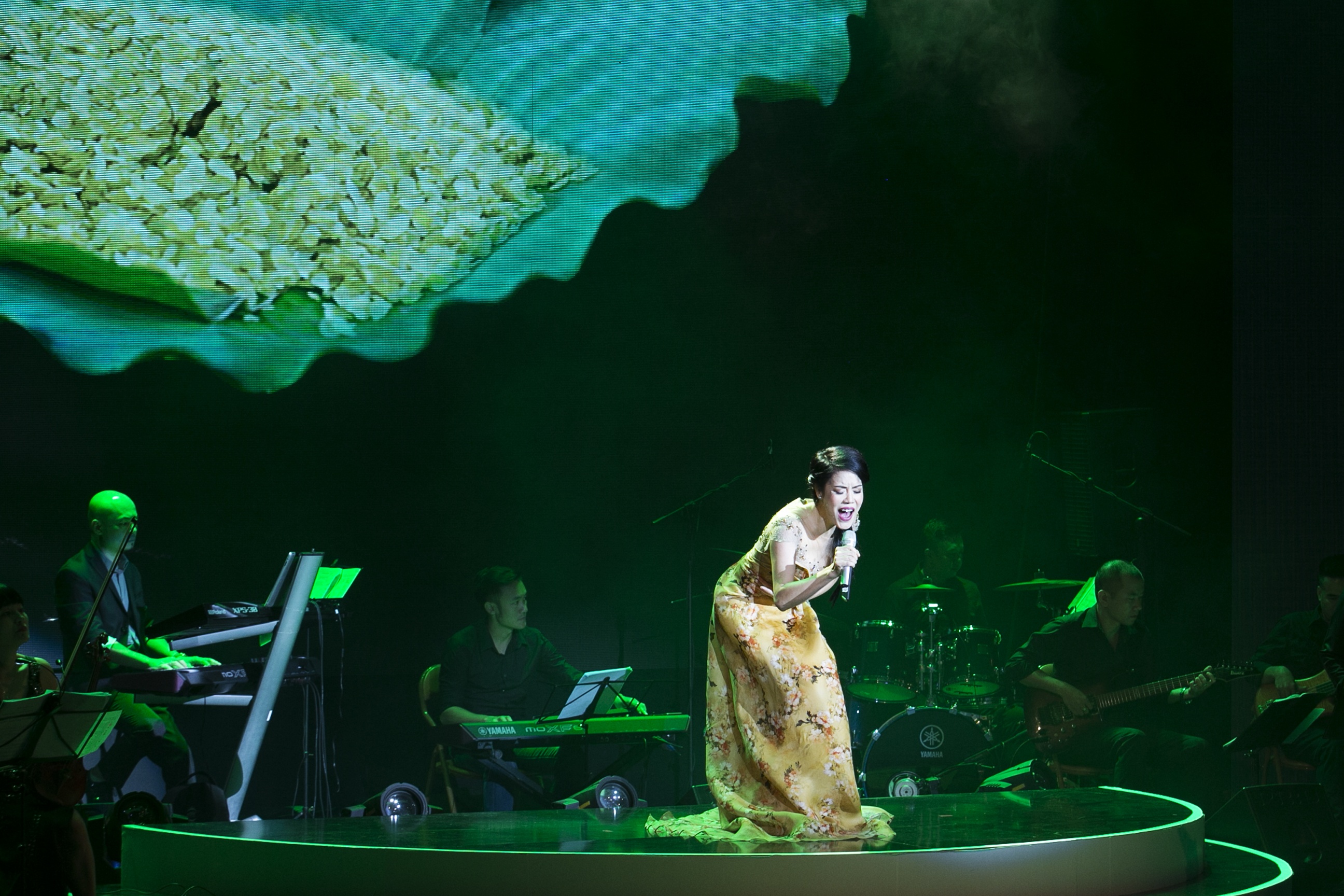 Thu Phuong dem nhac 30 nam ca hat anh 5