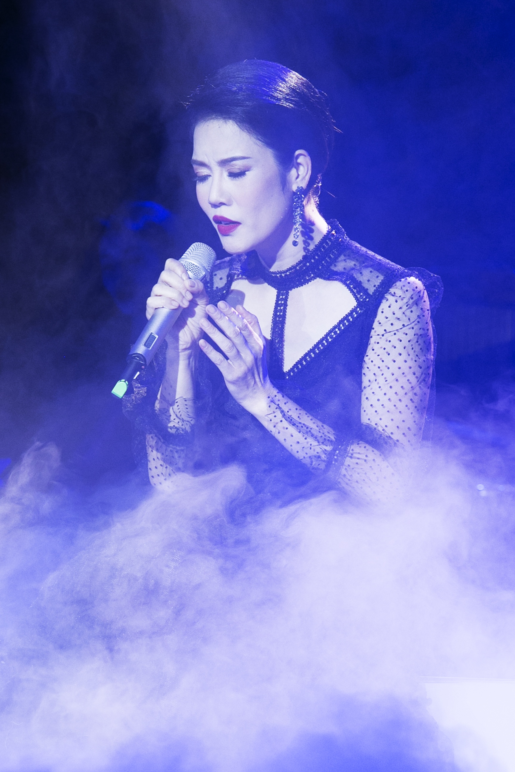 Thu Phuong dem nhac 30 nam ca hat anh 10