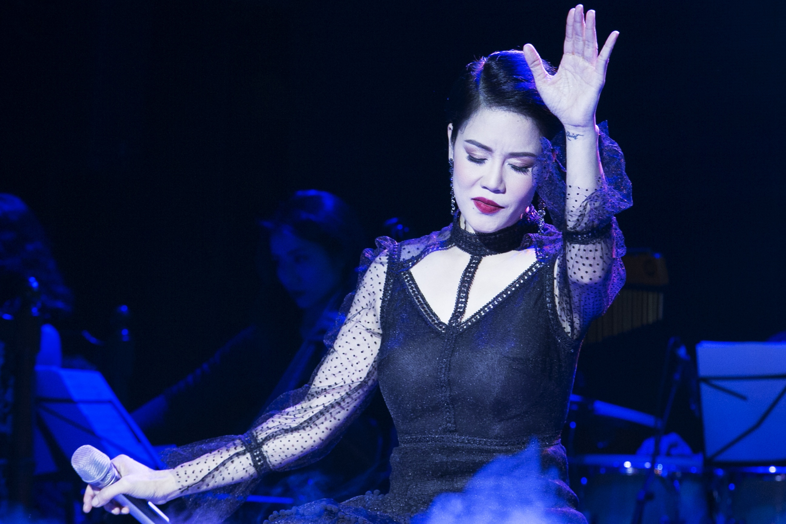 Thu Phuong dem nhac 30 nam ca hat anh 11