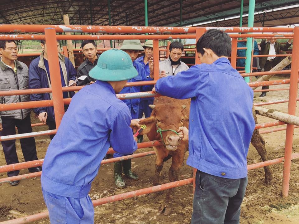 MC Phan Anh miệt mài từ thiện ảnh 1 MC Phan Anh miet mai tu thien anh 1