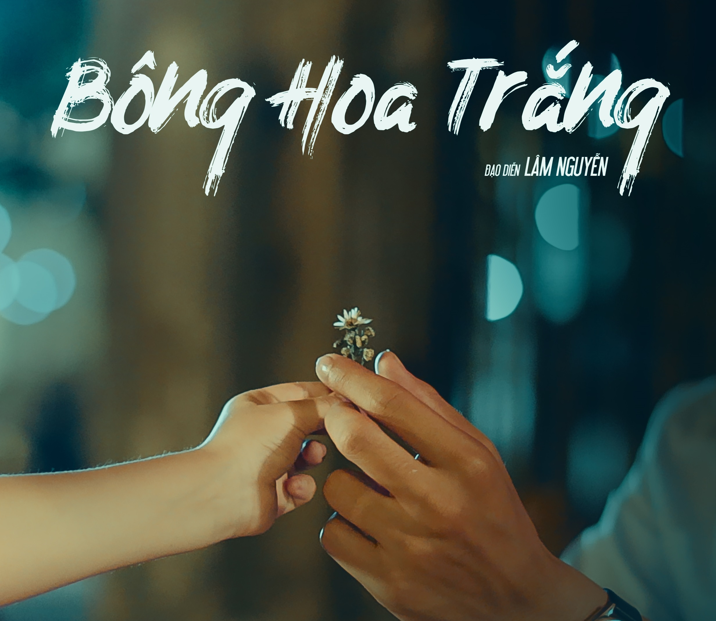 6 phim ngan thuc tinh cac quy ong anh 1