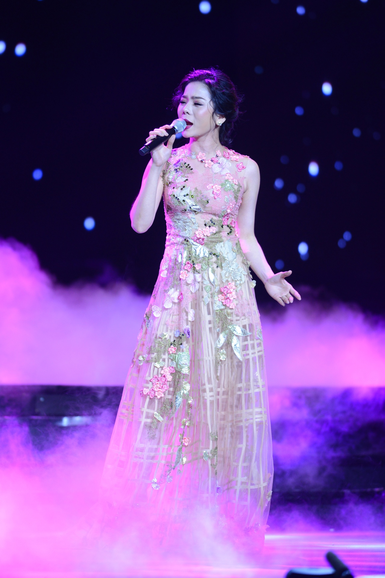 su co Ho Ngoc Ha anh 9