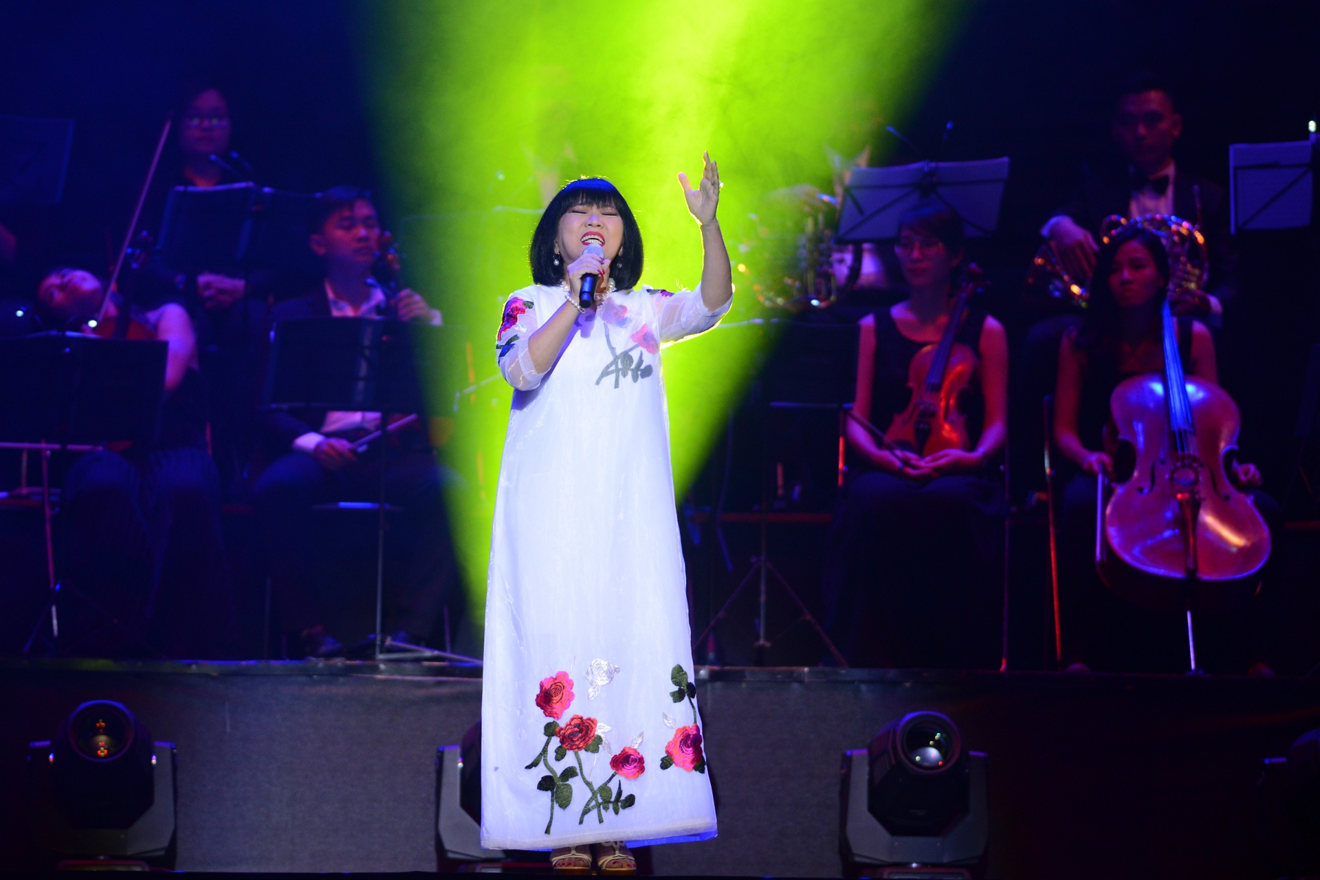 su co Ho Ngoc Ha anh 11