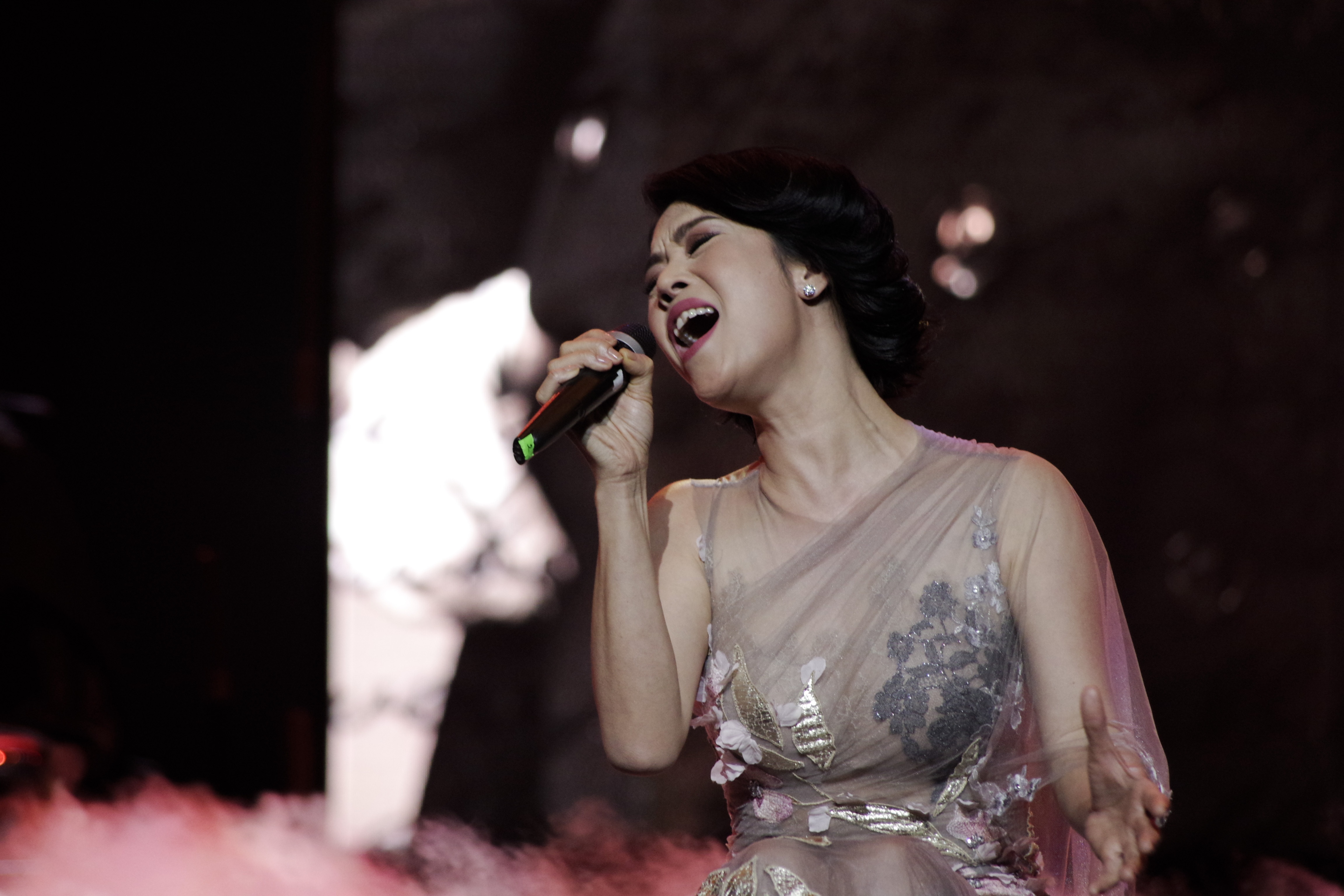 khan gia vay kin Ha Anh Tuan anh 5