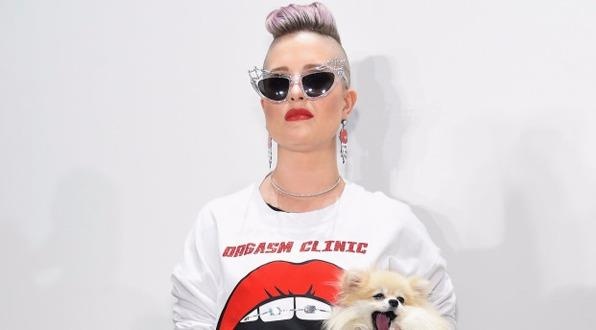 Sao Hollywood voi 10 tham hoa thoi trang 'de doi' nam 2016 hinh anh