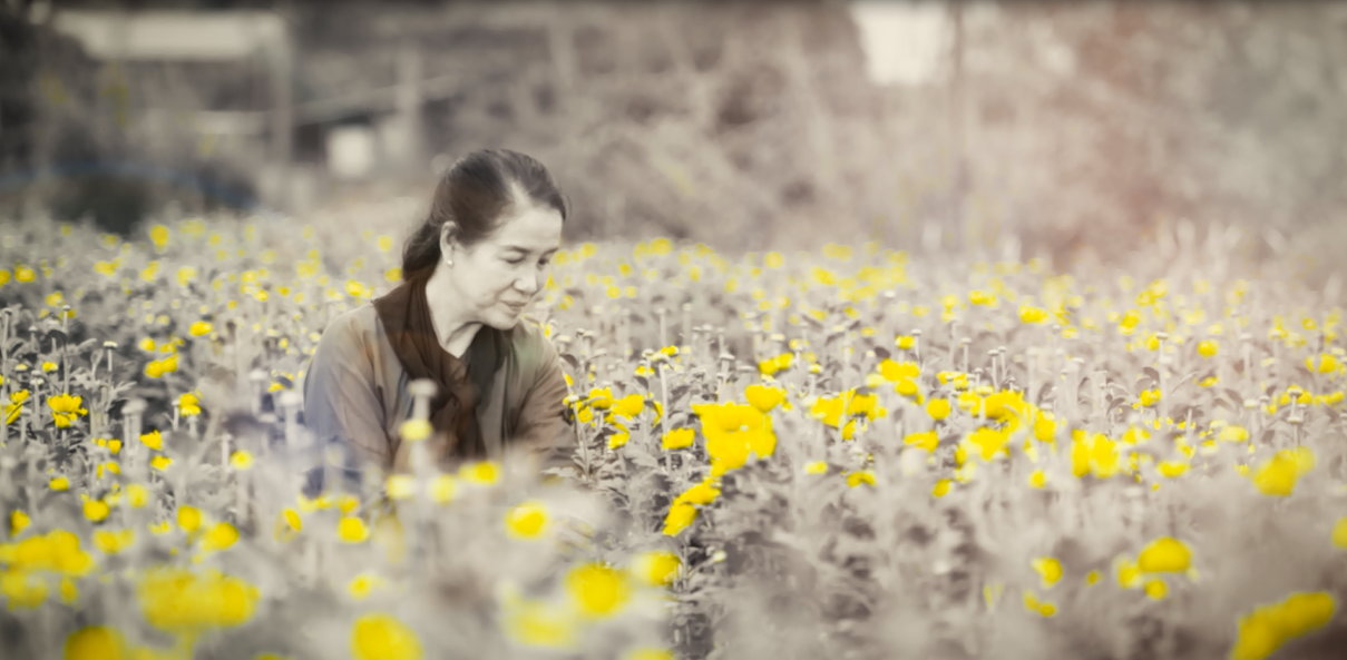 Bong Van Tho - Phuong Thuy hinh anh