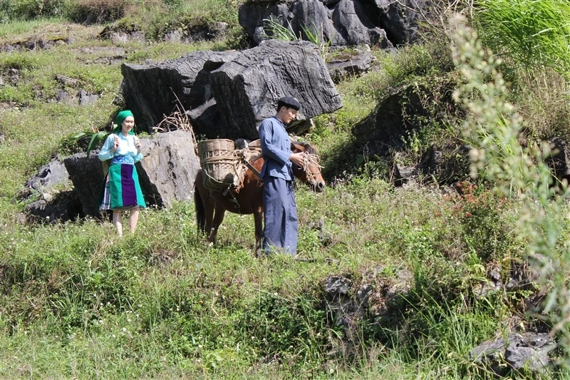 phim ve tuc cuop vo anh 1