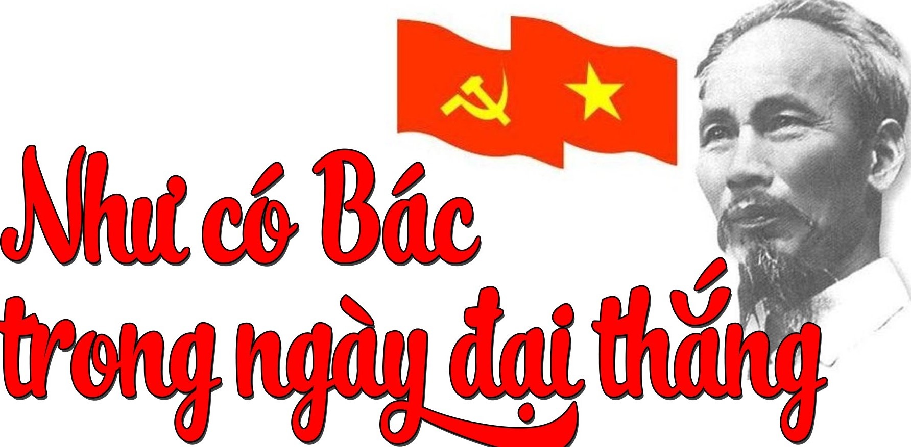 ca khuc nhac do duoc cap phep anh 1