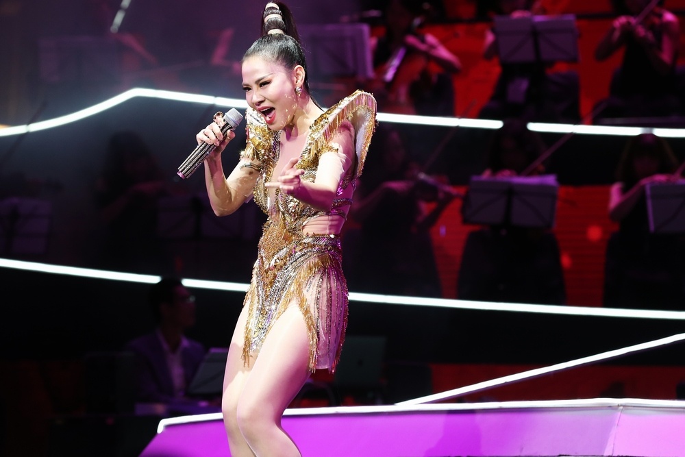 Thu Minh hat 'Bay' trong live show ky niem 25 nam ca hat hinh anh