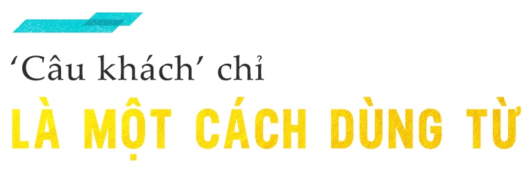 dao dien Viet Tu anh 2