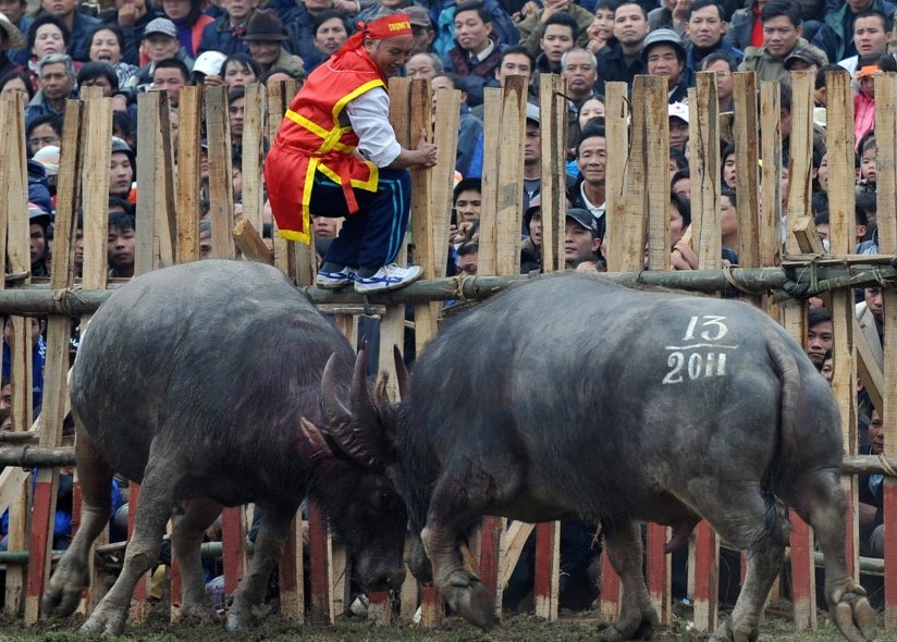 van de khau to chuc anh 2