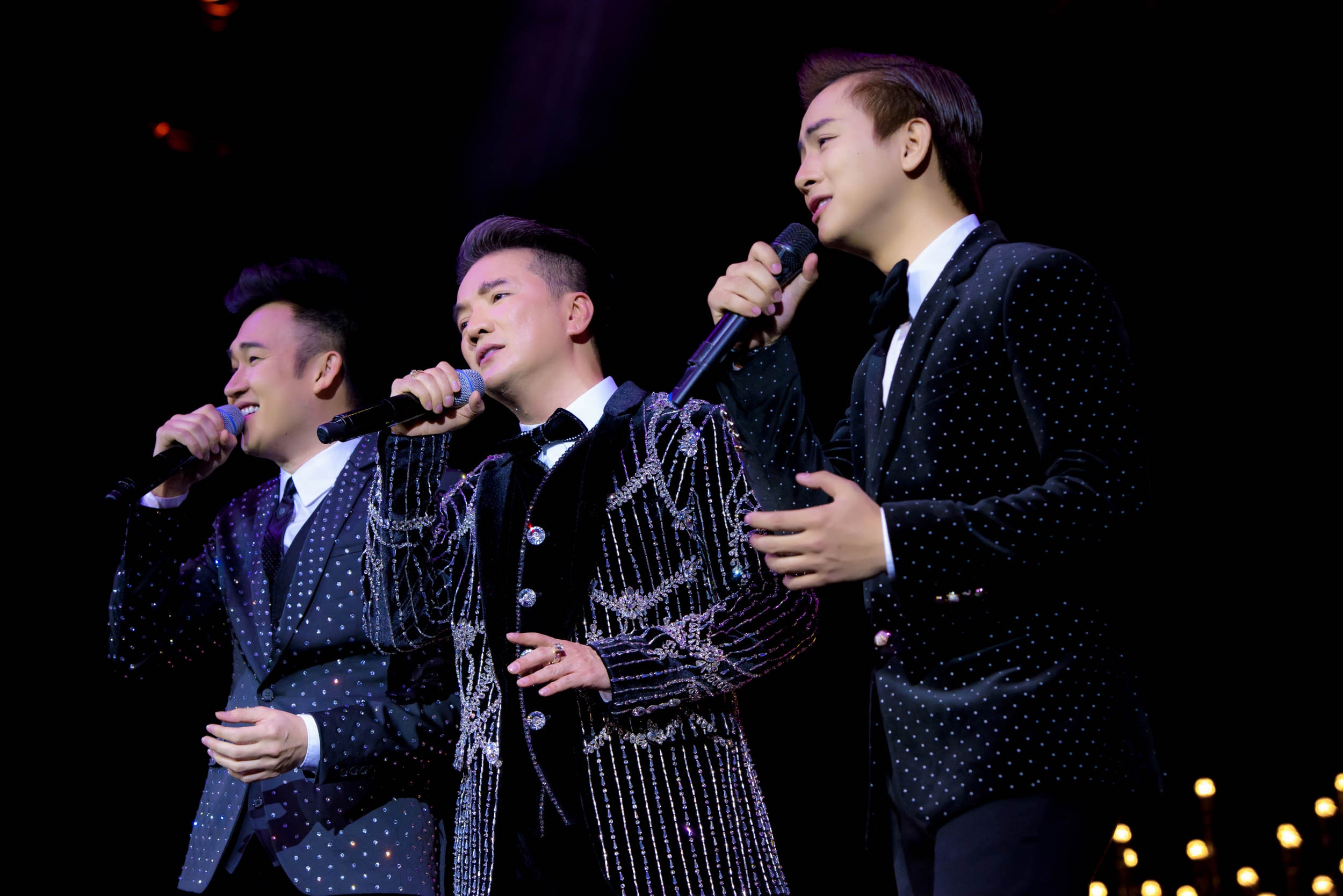 live show Dam Vinh Hung anh 8