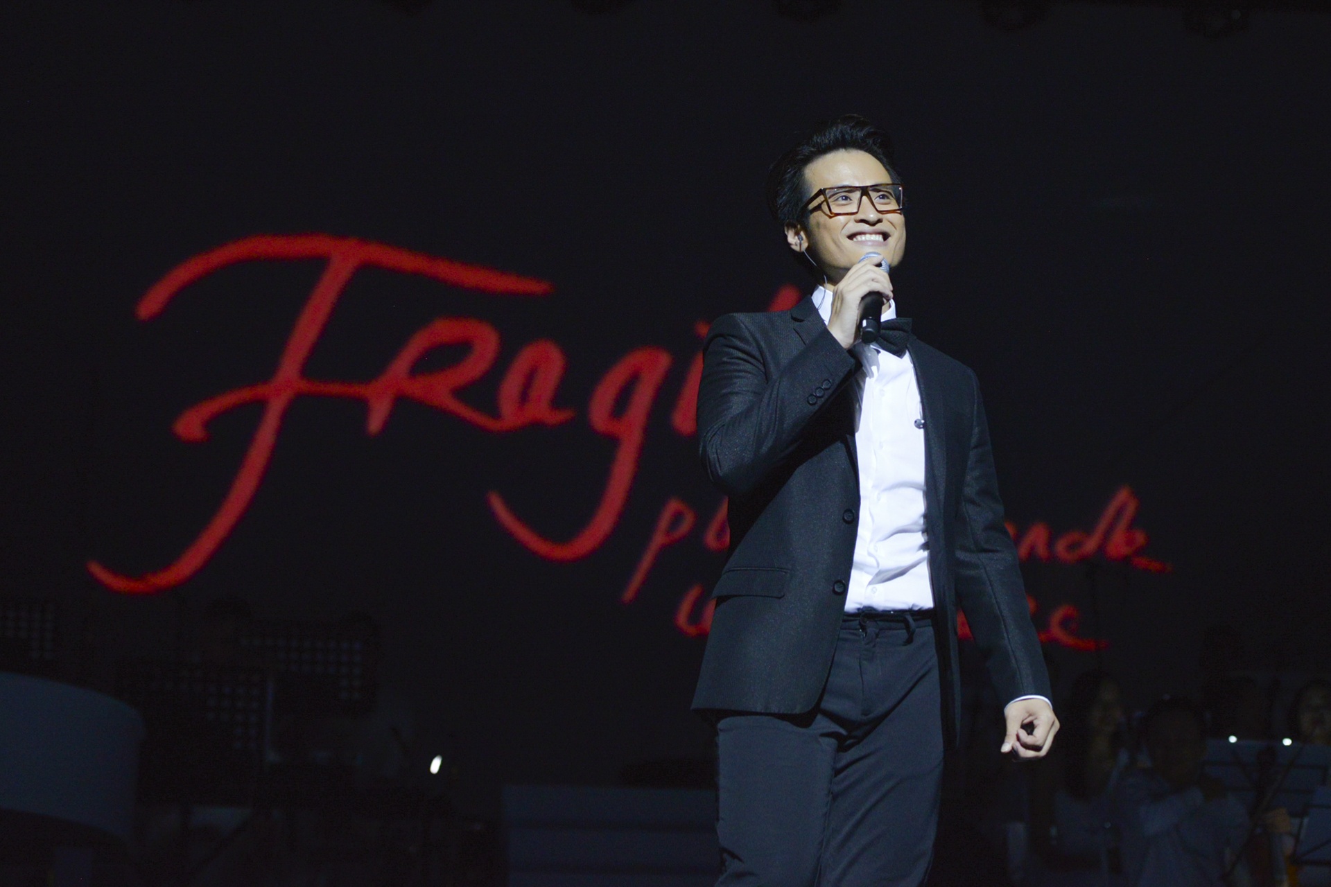 live show Ha Anh Tuan anh 1