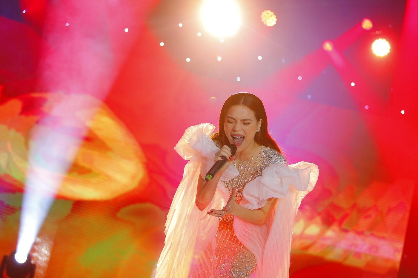 Ho Ngoc Ha tranh Le Quyen anh 5