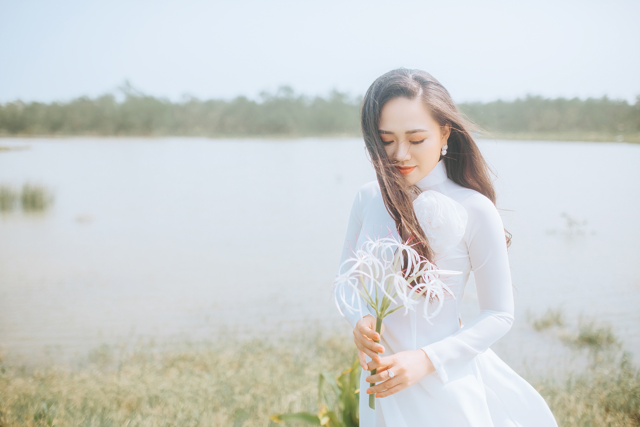 giong ca dan gian Sao mai anh 2