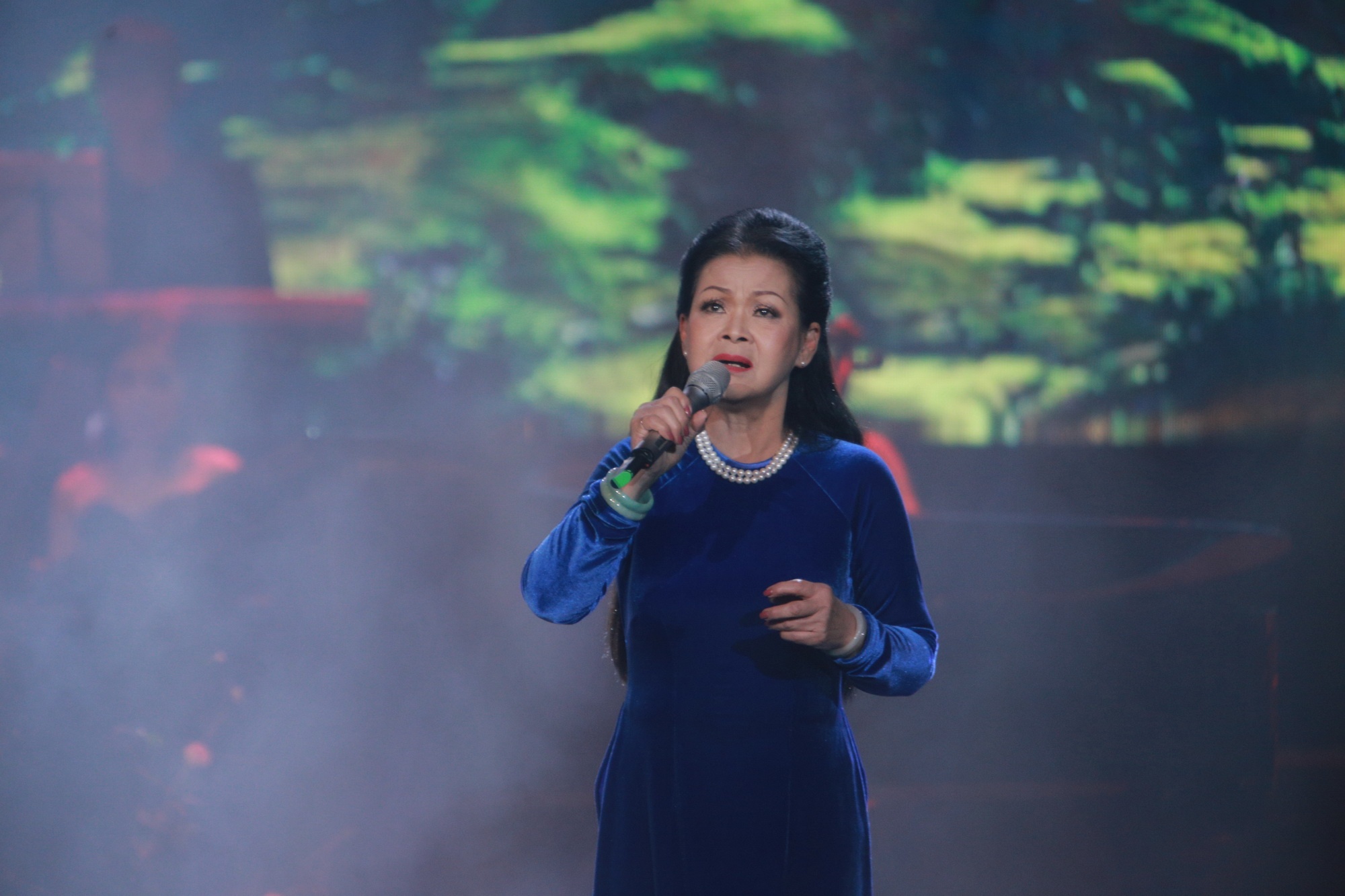 dem nhac Phu Quang anh 1