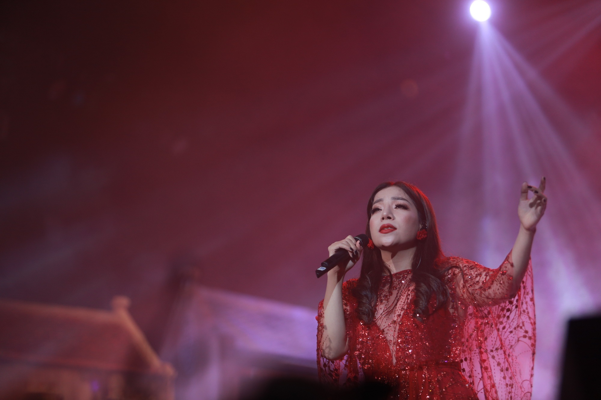 dem nhac cua Phu Quang anh 7