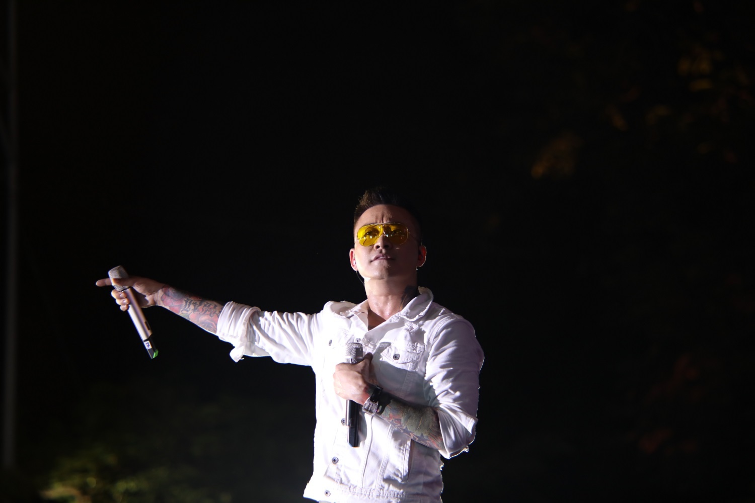 live show 20 nam ca hat anh 1