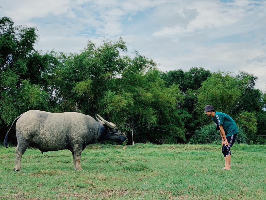 doi thuong cua Den Vau anh 4