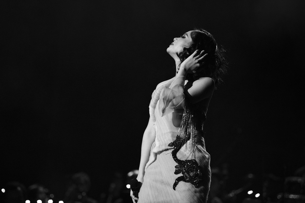 live show an tuong 2019 anh 12