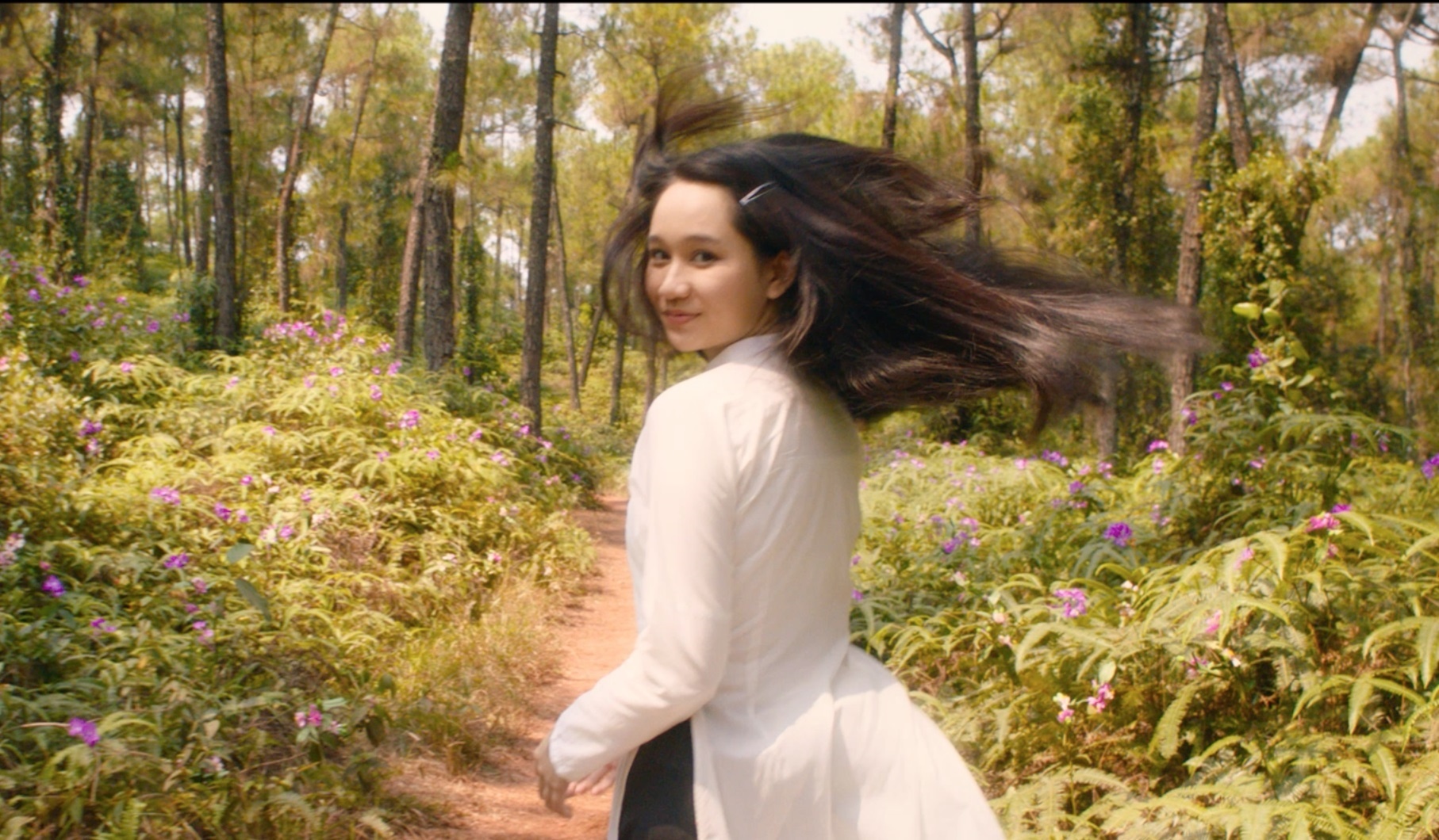 Giai ma doi mat Ha Lan anh 2