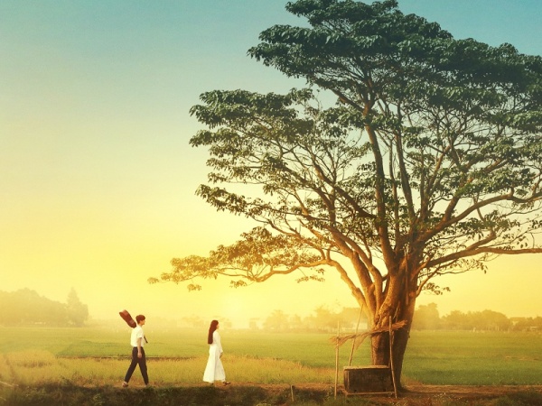 Ngan co yeu Ha Lan anh 2