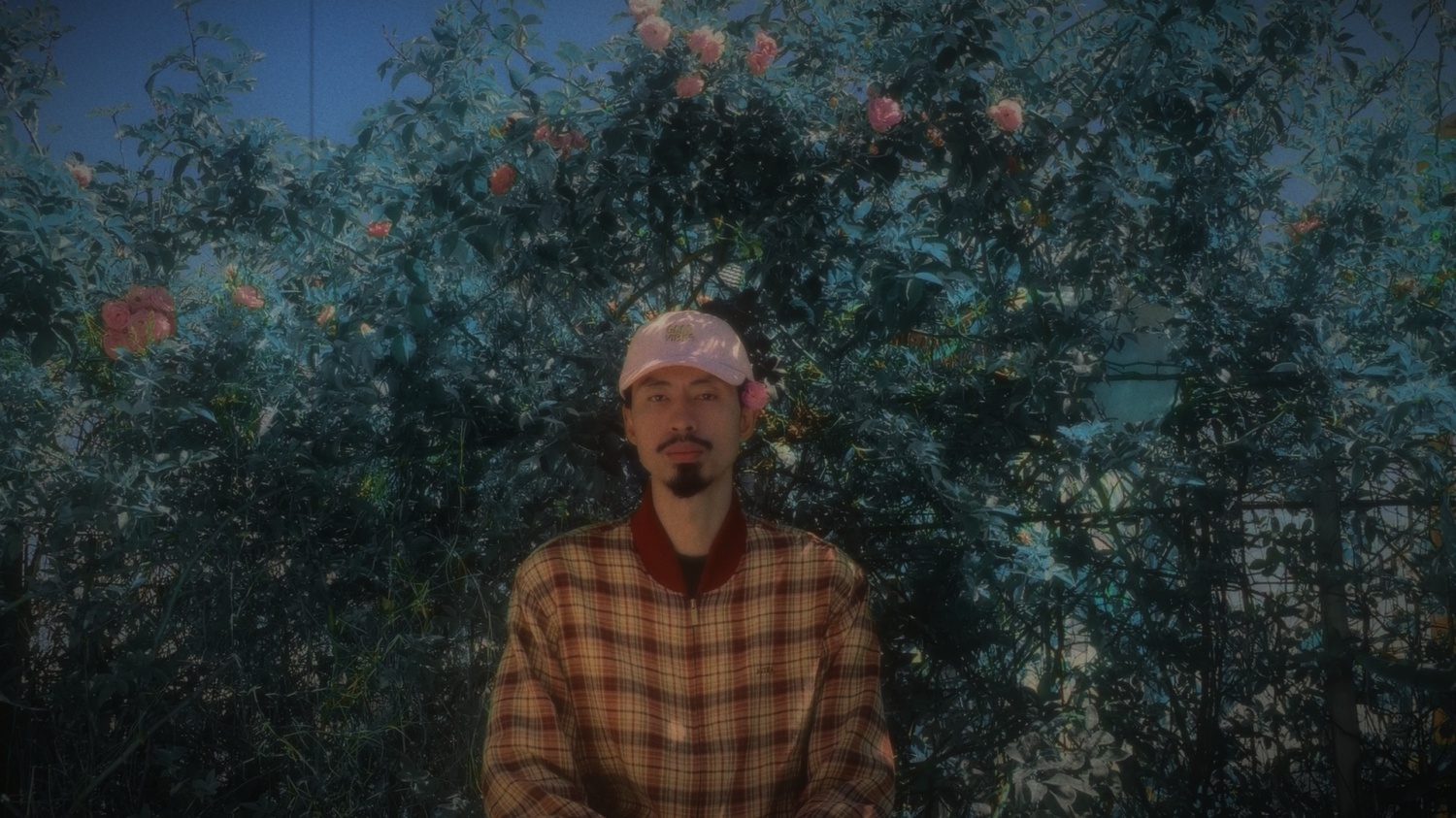 Mot trieu like cua Den Vau anh 2