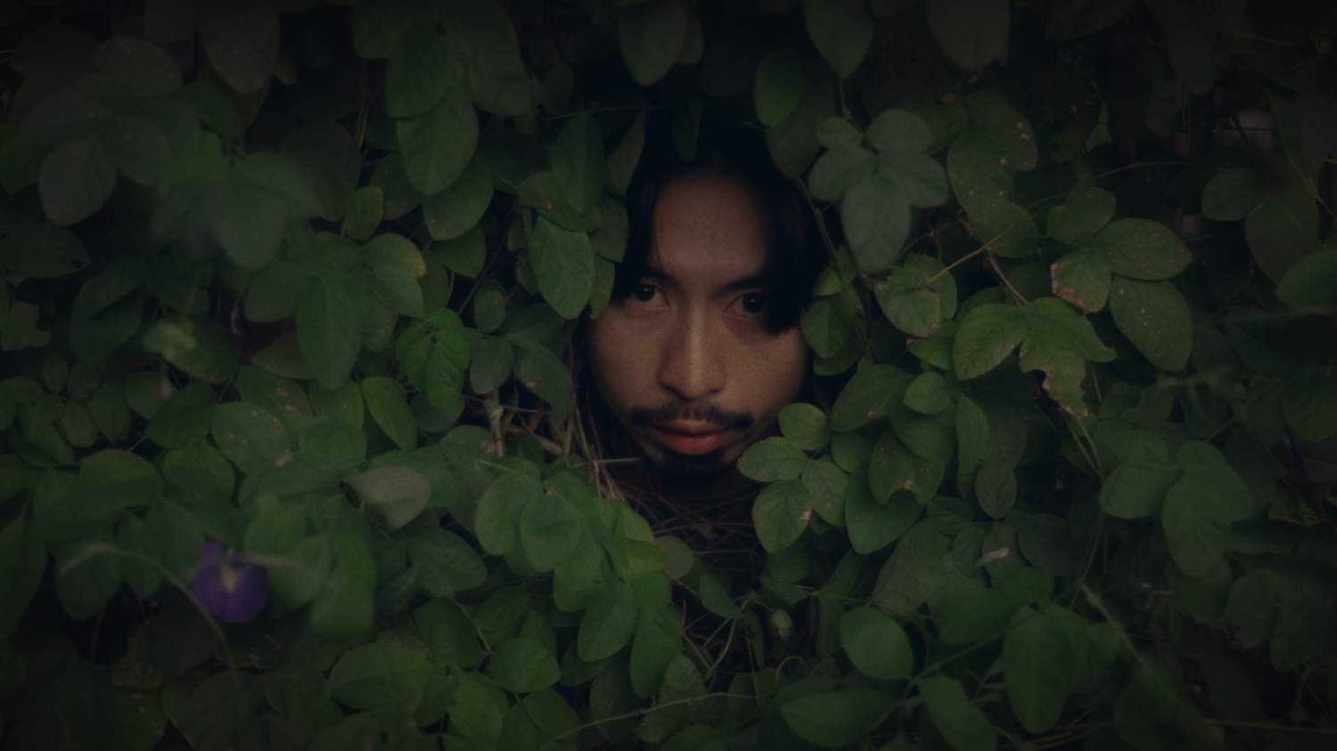 Mot trieu like cua Den Vau anh 3