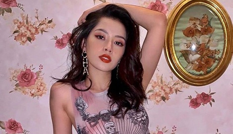 'Mong co nhieu nghe si Viet quyen gop chong dich hon nua' hinh anh