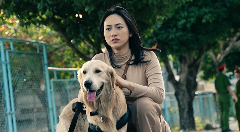 'Dien anh Viet thieu tai tu, minh tinh' hinh anh