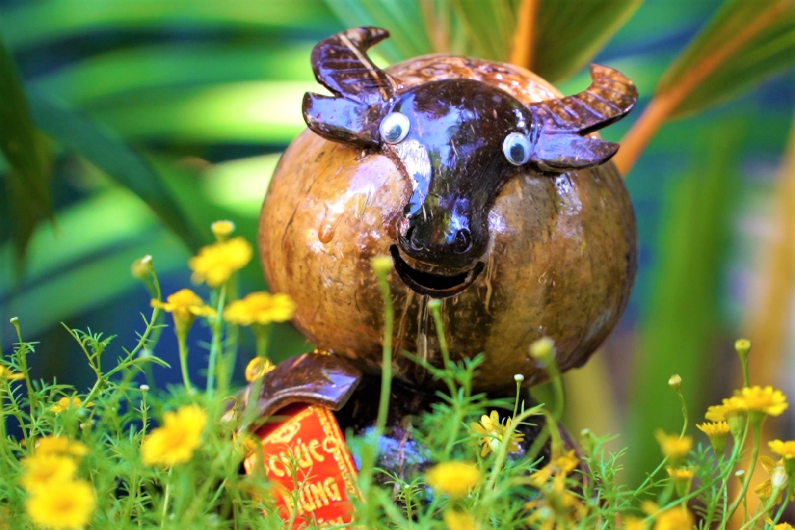 'Bien' dua kho thanh bonsai hinh con trau hinh anh