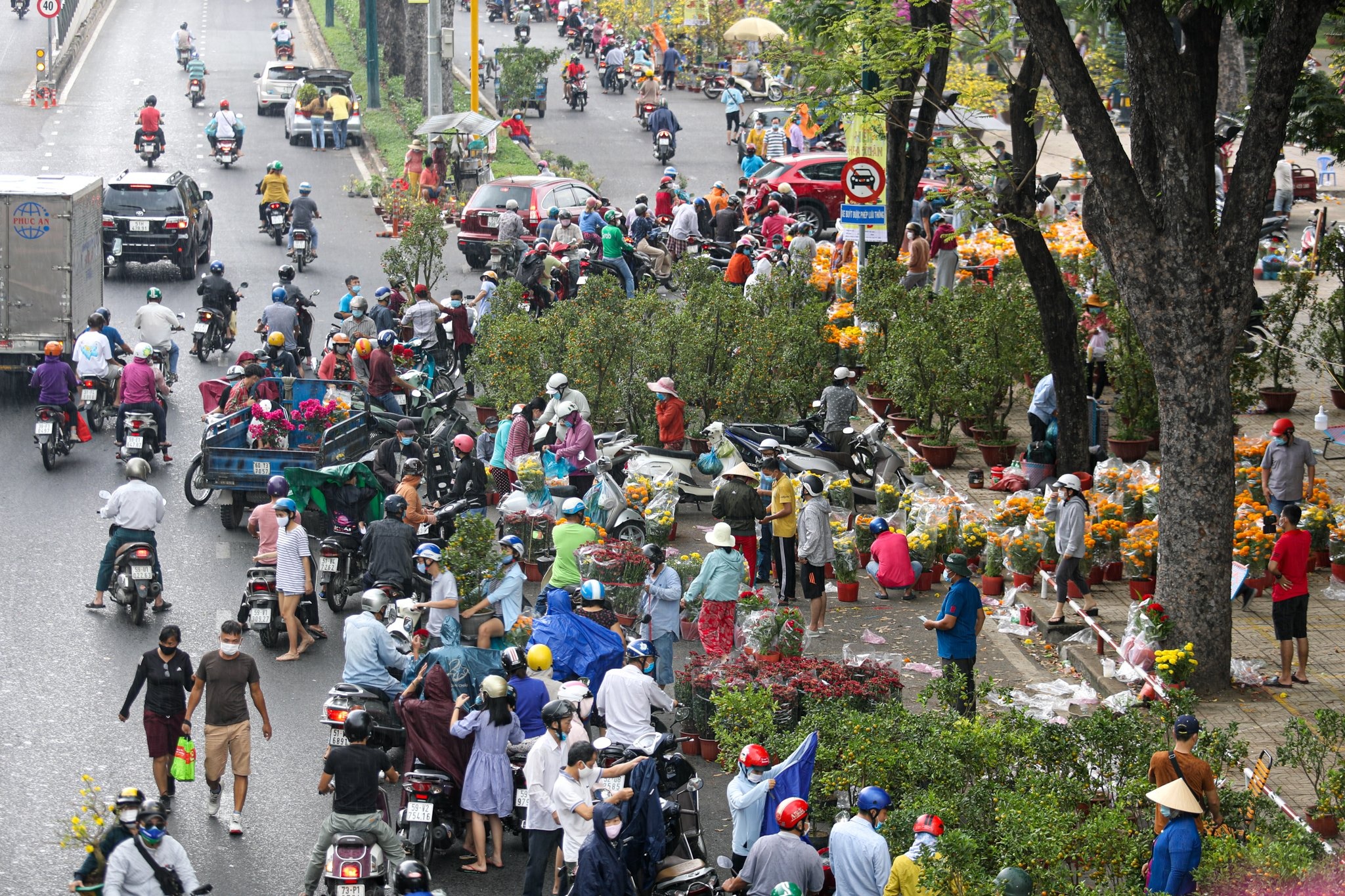 'Gia hoa sang 30 Tet con re hon ngay thuong' hinh anh