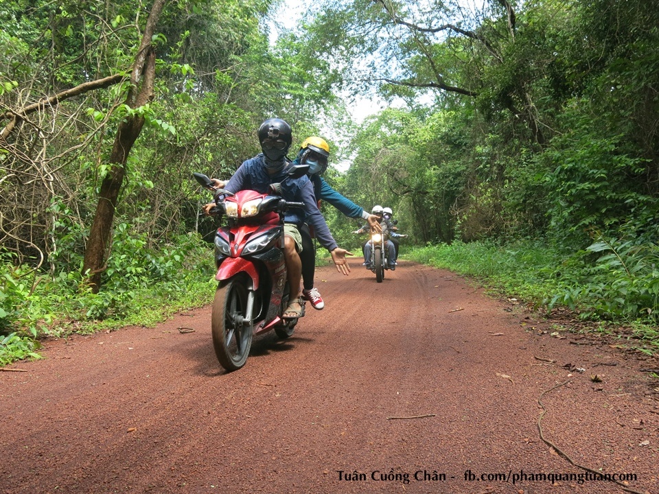 Đoạn đất đỏ trong rừng.