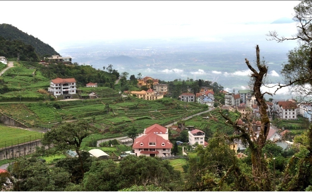 Thời gian này đang là mùa cao điểm du lịch nhưng Tam Đảo vẫn giữ được vẻ yên tĩnh, thanh bình vốn có.