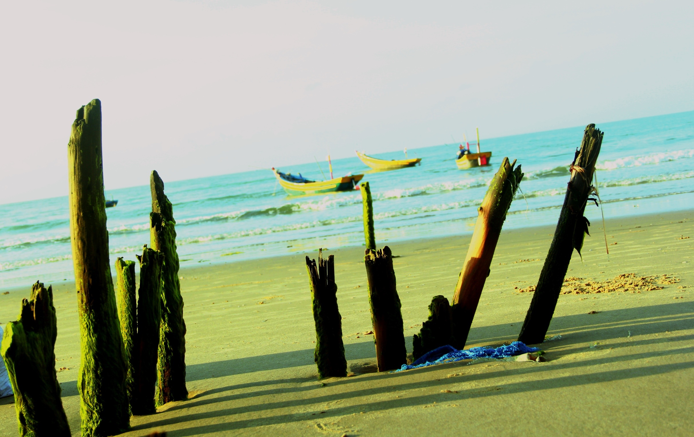 Vẻ đẹp hoang sơ của biển.