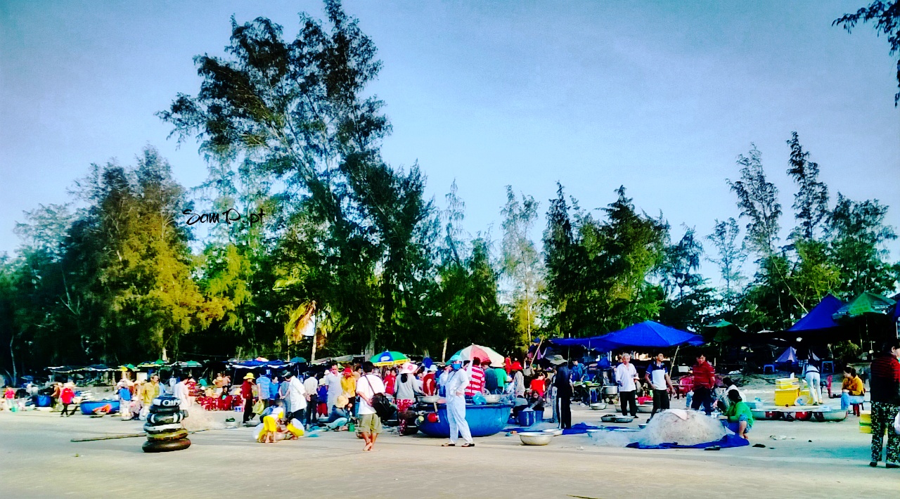 Khung cảnh nhộn nhịp của làng chài Bến Dinh.