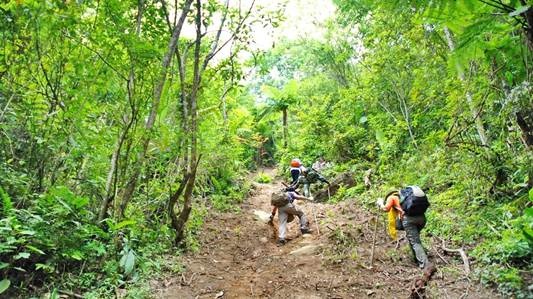 Con dốc dựng đứng.