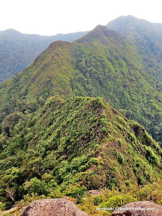 Sống lưng khủng long.