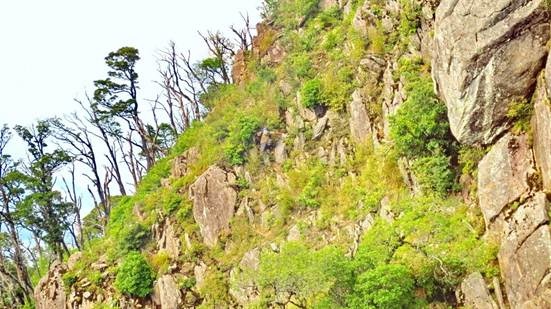 ​Lần theo vách núi bò vòng.