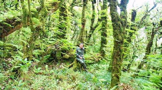 Một màu xanh trên đỉnh cao nhất.