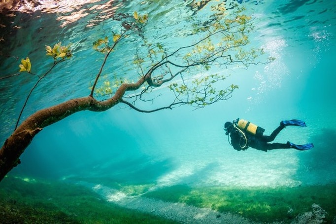 Bức ảnh Thợ lặn ở vương quốc phép thuật của nhiếp ảnh gia Marc Henauer - Ảnh: National Geographic