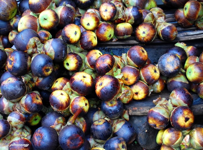 Thốt nốt, không thể bỏ qua khi đến An Giang.