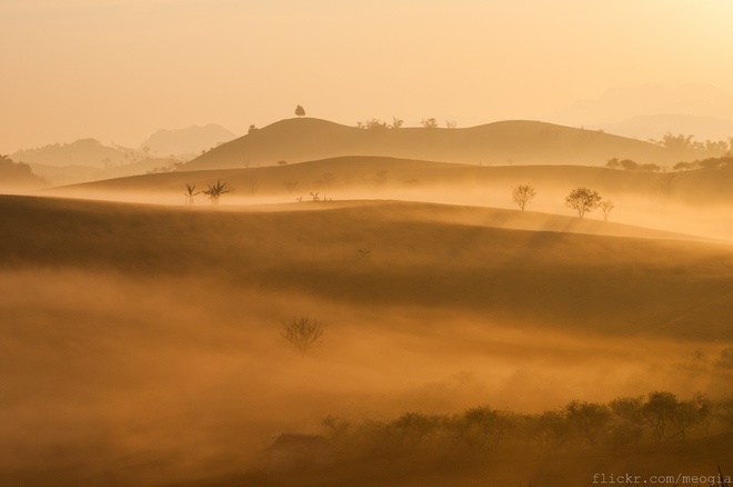 Những ngọn đồi được bao trùm bởi lớp sương trong ánh bình minh trở nên huyền ảo hơn bao giờ hết. Vẻ đẹp ấy khiến cho du khách ngỡ như lạc vào cõi mơ. Ảnh: Mèo Già