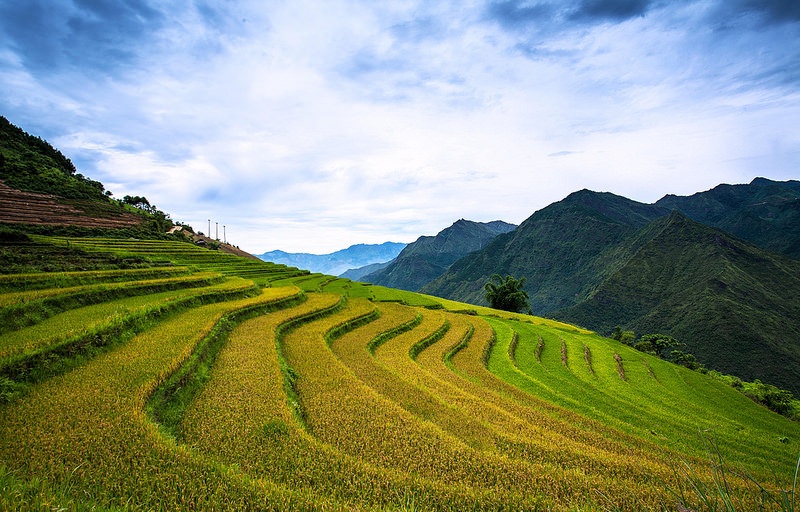 Con đường vào Làng Nhì nhỏ hẹp và có nhiều dốc nguy hiểm. Cả nhóm đi bộ hơn 10km trời nắng gắt. Cảnh trên đường rất đẹp thoáng đâu đó vẫn còn những thửa ruộng bậc thang.