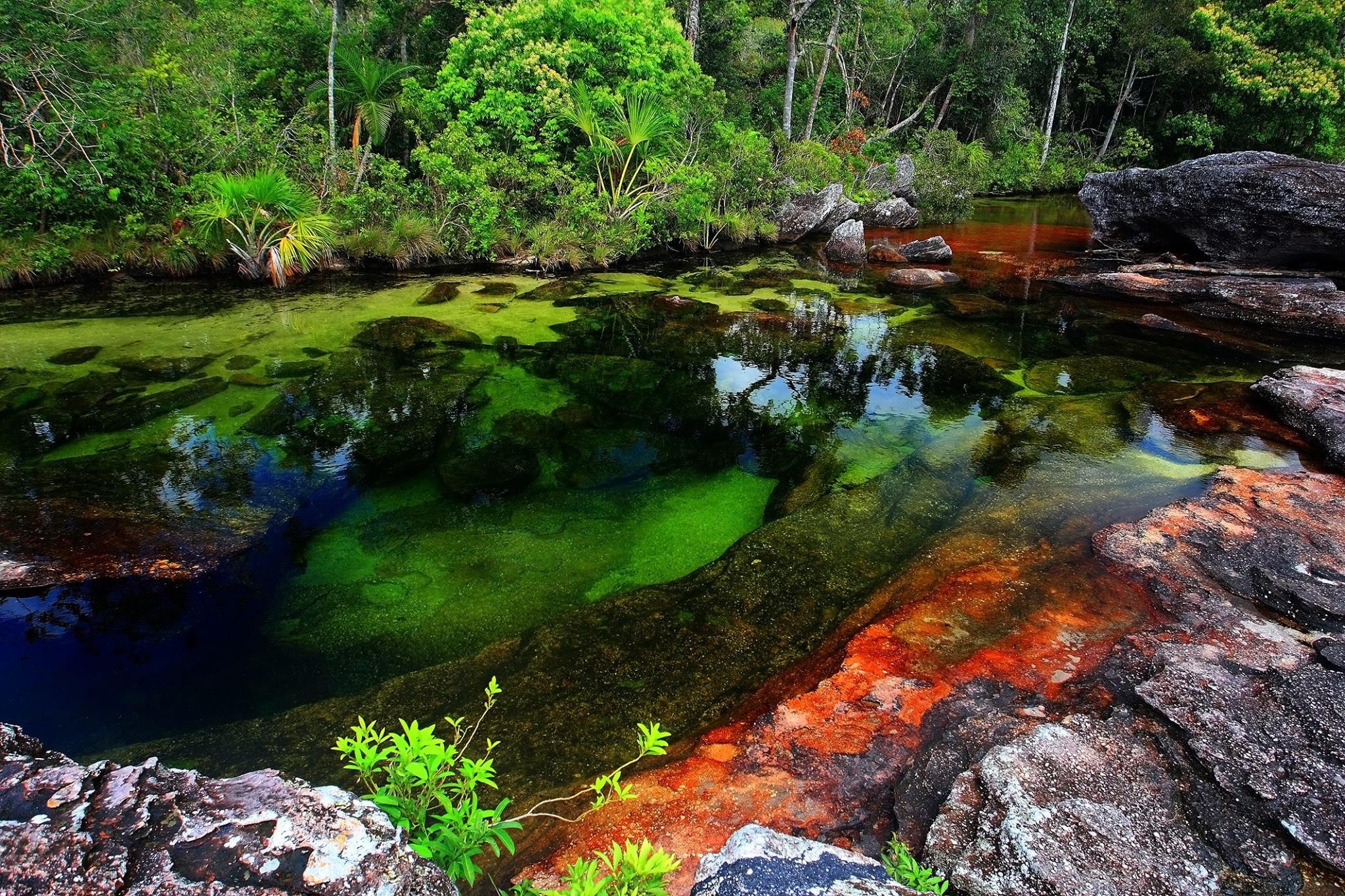 22. Sông Cano Cristales, Colombia  Sông Cano Cristales tọa lạc bên trong khu bảo tồn quốc gia Macarena – một khu bảo tồn có diện tích lên tới 3.900 km vuông. Dòng sông này còn được người dân địa phương gọi là sông Ngũ Sắc hay sông Cầu Vồng, bởi màu sắc đa dạng của nó. Vào thời điểm chuyển giao giữa mùa mưa và mùa khô, một loại cây mọc dưới lòng sông có tên macarenia màu xanh lá chuyển sang màu đỏ tươi, cam vàng và nâu sậm. 
