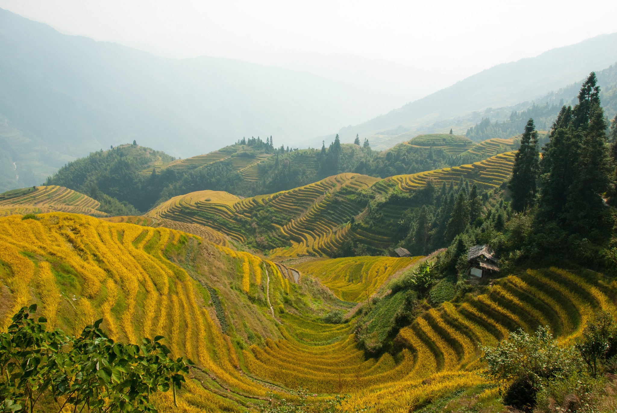 3. Ruộng bậc thang Longsheng, Trung Quốc  Ruộng bậc thang Longsheng còn được biết đến với biệt danh là xương sống của rồng, bởi hình dạng của ruộng bậc thang được xây dựng với những kỹ thuật khéo léo từ bờ sông lên đến đỉnh núi, hướng lên bầu trời tựa như những con rồng đang bay.